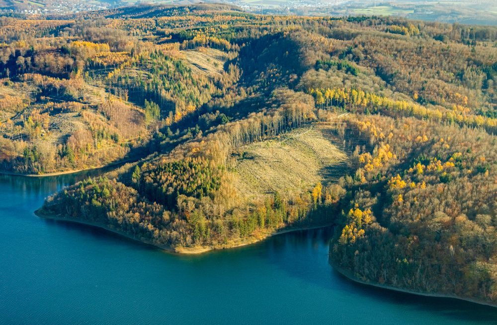 Aerial image Langscheid - Riparian areas on the lake area of Sorpesee in Langscheid at Sauerland in the state North Rhine-Westphalia, Germany