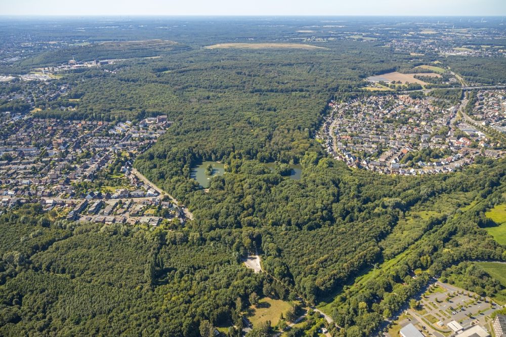 Bottrop from the bird's eye view: Riparian areas on the lake area of Stadtteich in a forest area in Bottrop in the state North Rhine-Westphalia, Germany