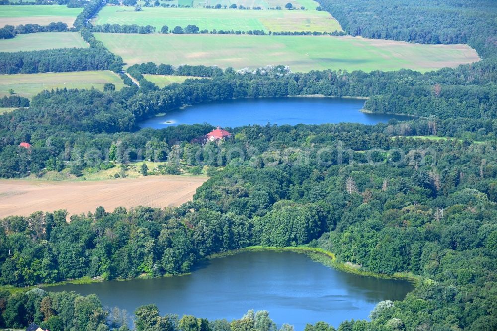 Aerial image Liebenberg - Riparian areas on the lake area of Weisser See in a forest area in Liebenberg in the state Brandenburg, Germany