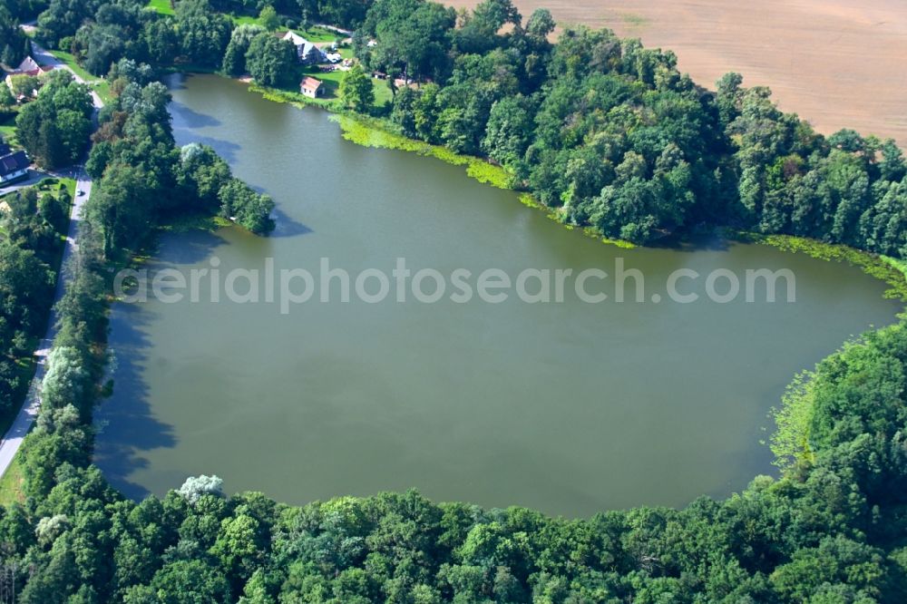 Liebenberg from the bird's eye view: Riparian areas on the lake area of Weisser See in a forest area in Liebenberg in the state Brandenburg, Germany