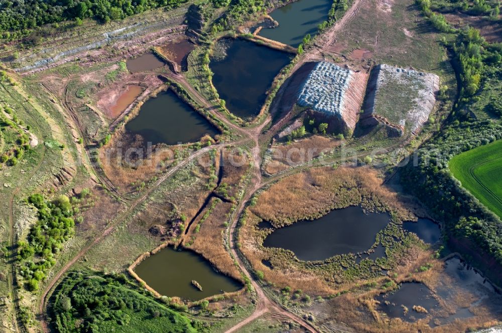 Erfurt from above - Shore areas of the ponds for fish farming in the district Hohenwinden in Erfurt in the state Thuringia, Germany