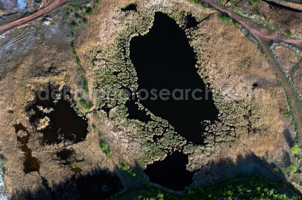Aerial photograph Erfurt - Shore areas of the ponds for fish farming in the district Hohenwinden in Erfurt in the state Thuringia, Germany