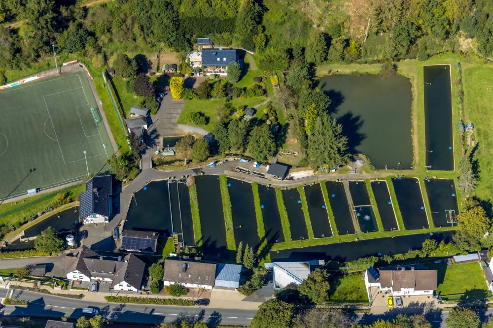 Aerial image Oberelspe - Shore areas of the ponds for fish farming of the Fischerei Linn on street Mescheder Strasse in Oberelspe in the state North Rhine-Westphalia, Germany