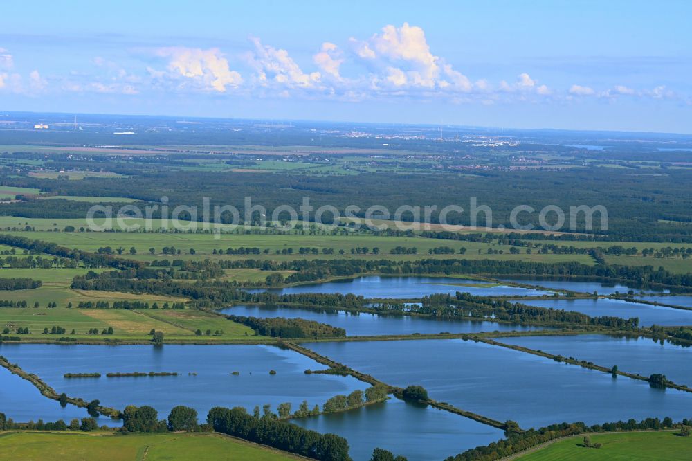 Aerial photograph Dütschow - Shore areas of the ponds for fish farming Fischteiche in the Lewitz in Duetschow in the state Mecklenburg - Western Pomerania, Germany