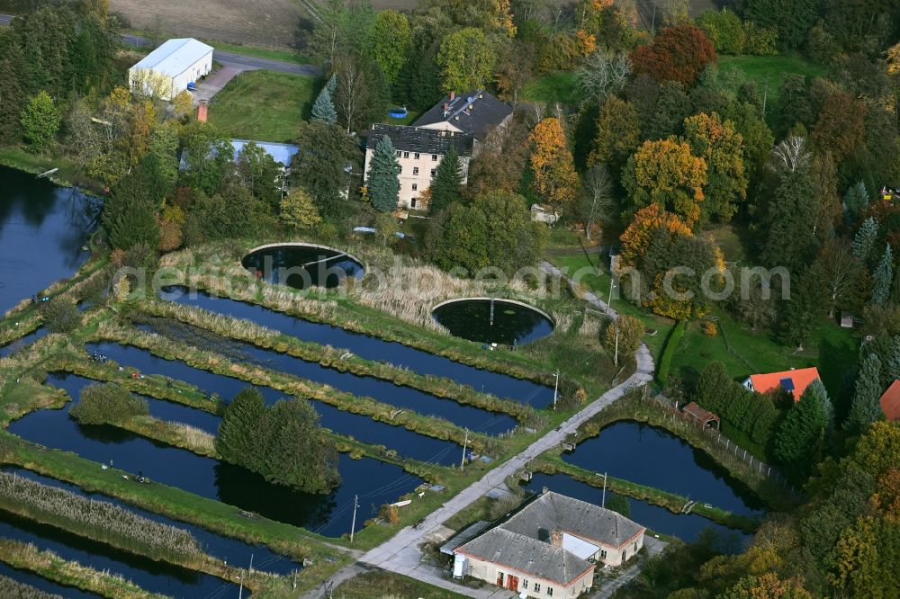 Aerial photograph Lühnsdorf - Shore areas of the ponds for fish farming Forellenhof Niemegk on Werdermuehle in Luehnsdorf in the state Brandenburg, Germany