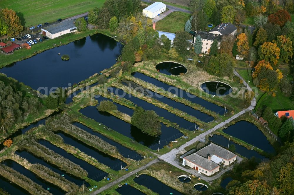 Lühnsdorf from above - Shore areas of the ponds for fish farming Forellenhof Niemegk on Werdermuehle in Luehnsdorf in the state Brandenburg, Germany