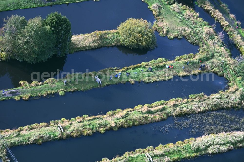 Lühnsdorf from the bird's eye view: Shore areas of the ponds for fish farming Forellenhof Niemegk on Werdermuehle in Luehnsdorf in the state Brandenburg, Germany
