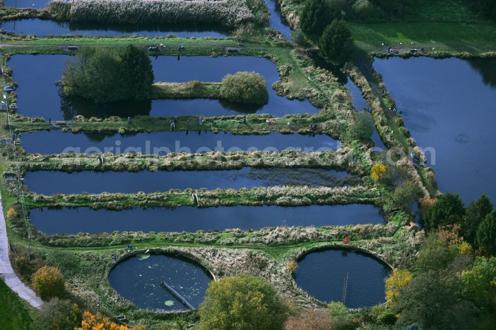 Aerial image Lühnsdorf - Shore areas of the ponds for fish farming Forellenhof Niemegk on Werdermuehle in Luehnsdorf in the state Brandenburg, Germany