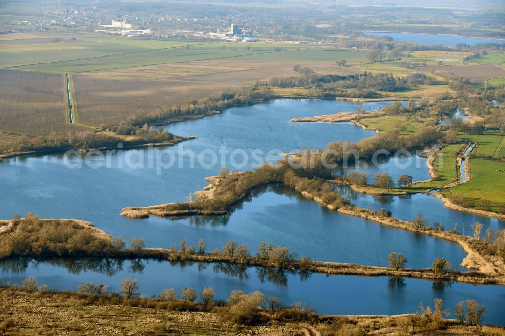 Ribbeck from above - Shore areas of the ponds for fish farming Langer Stich in Ribbeck in the state Brandenburg, Germany