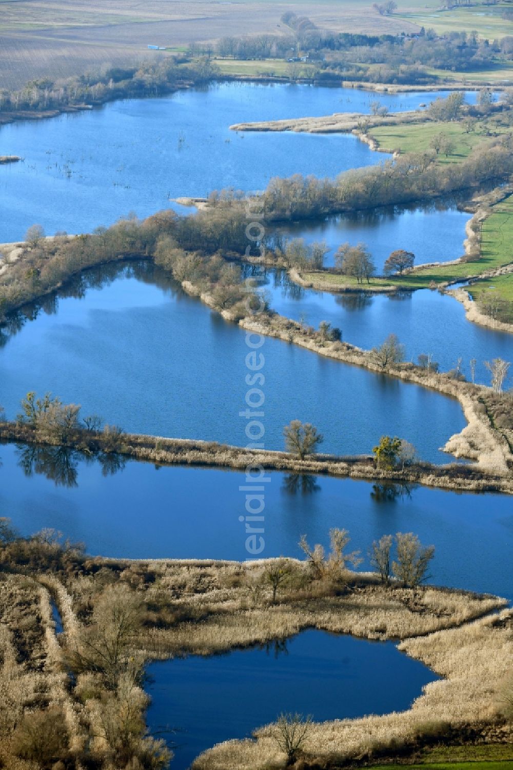 Ribbeck from the bird's eye view: Shore areas of the ponds for fish farming Langer Stich in Ribbeck in the state Brandenburg, Germany
