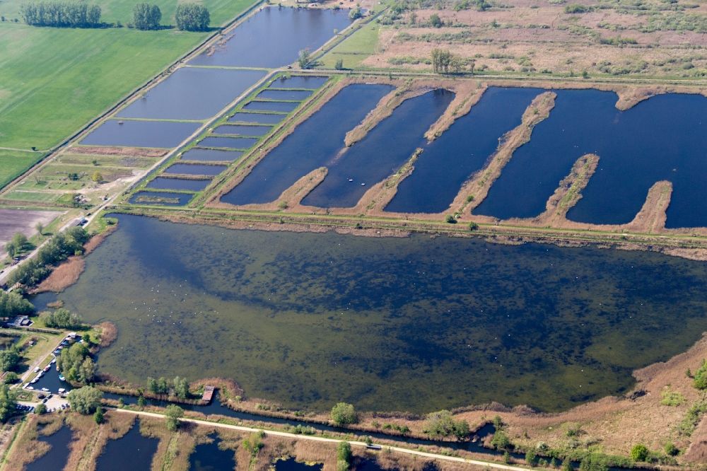 Aerial image Linum - Shore areas of the ponds for fish farming in Linum in the state Brandenburg, Germany