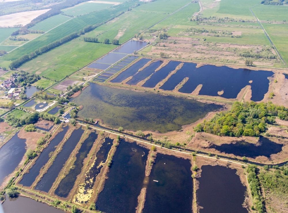 Aerial photograph Linum - Shore areas of the ponds for fish farming in Linum in the state Brandenburg, Germany