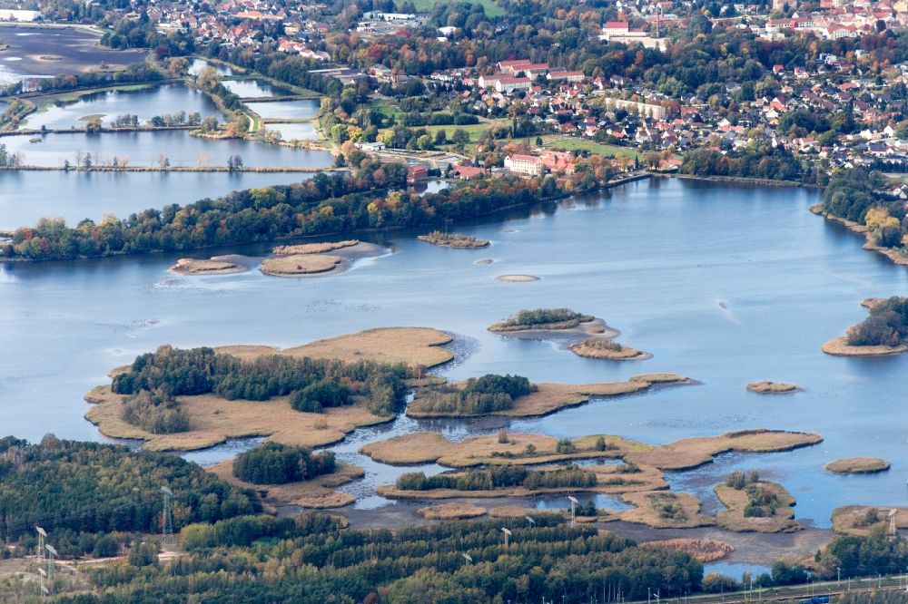Teichland from above - Shore areas of the ponds for fish farming Peitzer Teiche in Teichland in the state Brandenburg, Germany