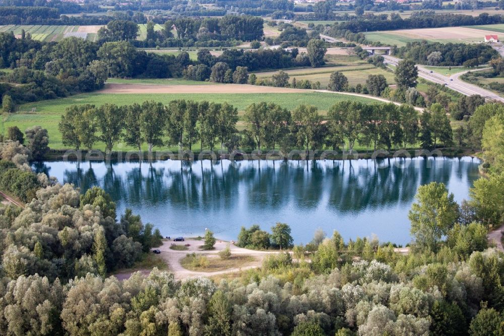 Aerial photograph Rheinzabern - Shore areas of the ponds for fish farming in Rheinzabern in the state Rhineland-Palatinate