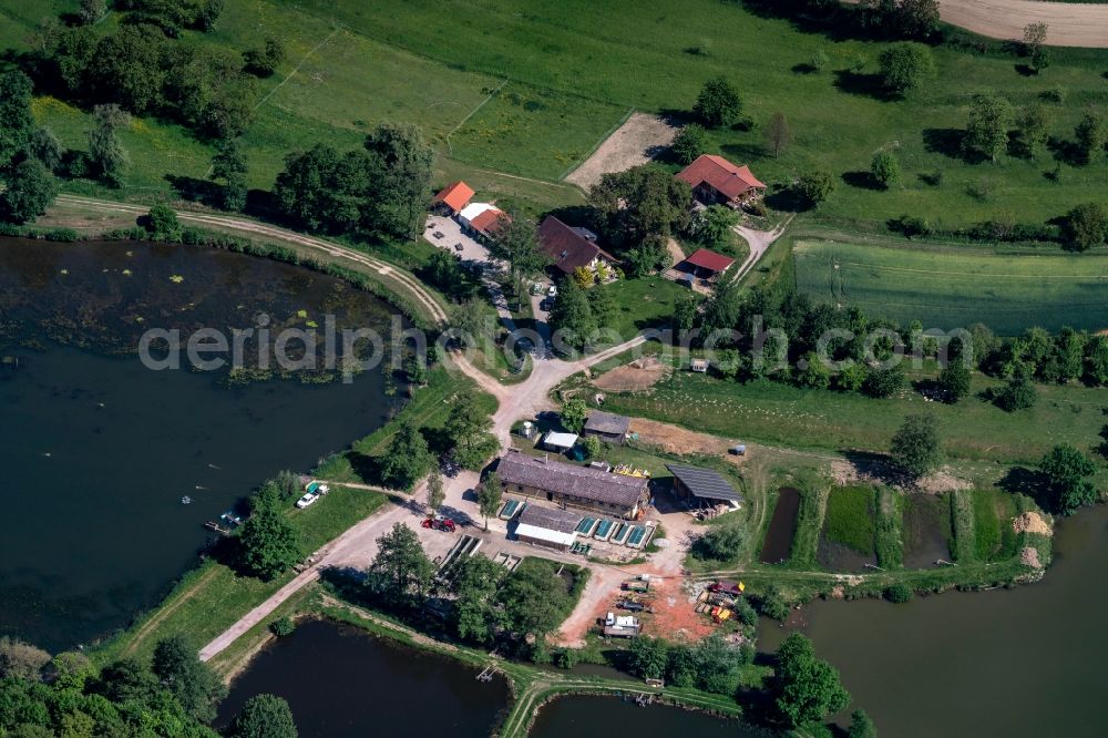 Ettenheim from above - Shore areas of the ponds for fish farming Riegger in Ettenheim in the state Baden-Wuerttemberg, Germany