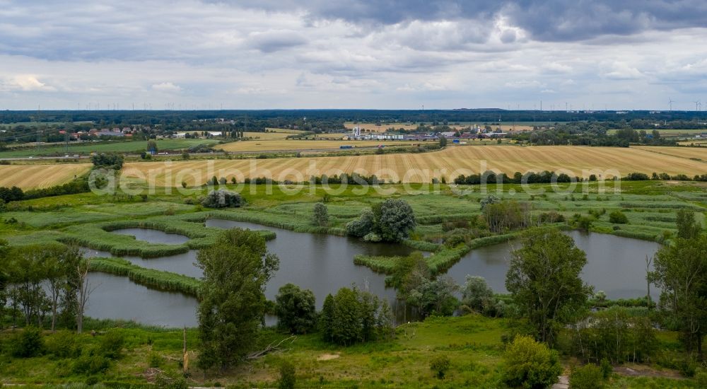 Aerial image Mühlenbecker Land - Shore areas of the ponds for fish farming Schoenerlinder Teiche in Moenchmuehle in the state Brandenburg