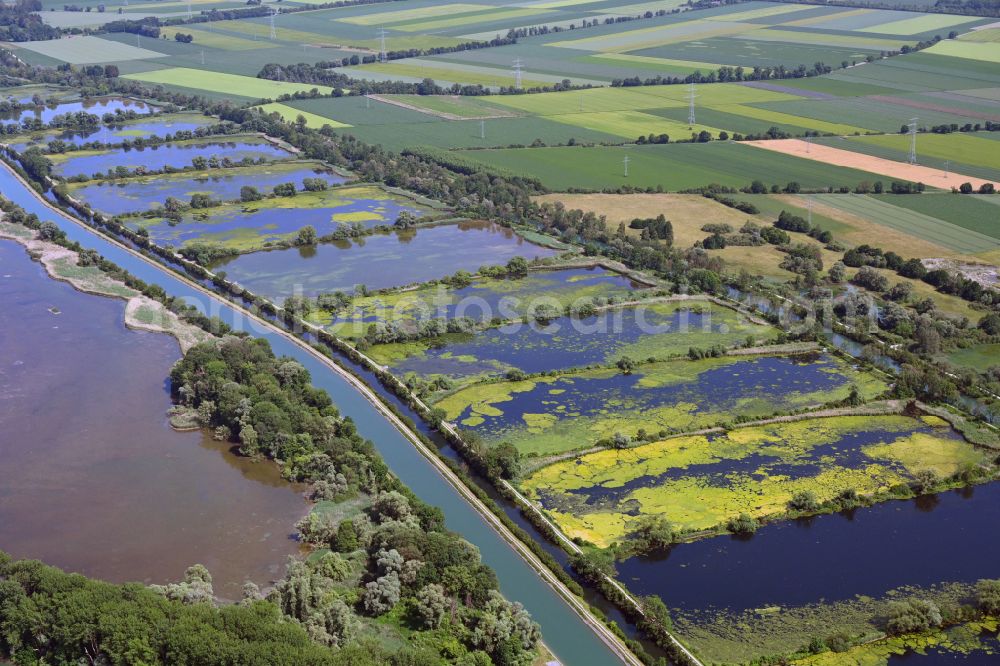 Aerial photograph Aschheim - Shore areas of the ponds for fish farming Teichgut Aschheim in Aschheim in the state Bavaria, Germany