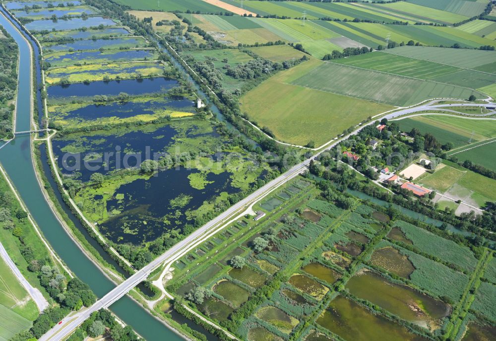 Aschheim from the bird's eye view: Shore areas of the ponds for fish farming Teichgut Aschheim in Aschheim in the state Bavaria, Germany