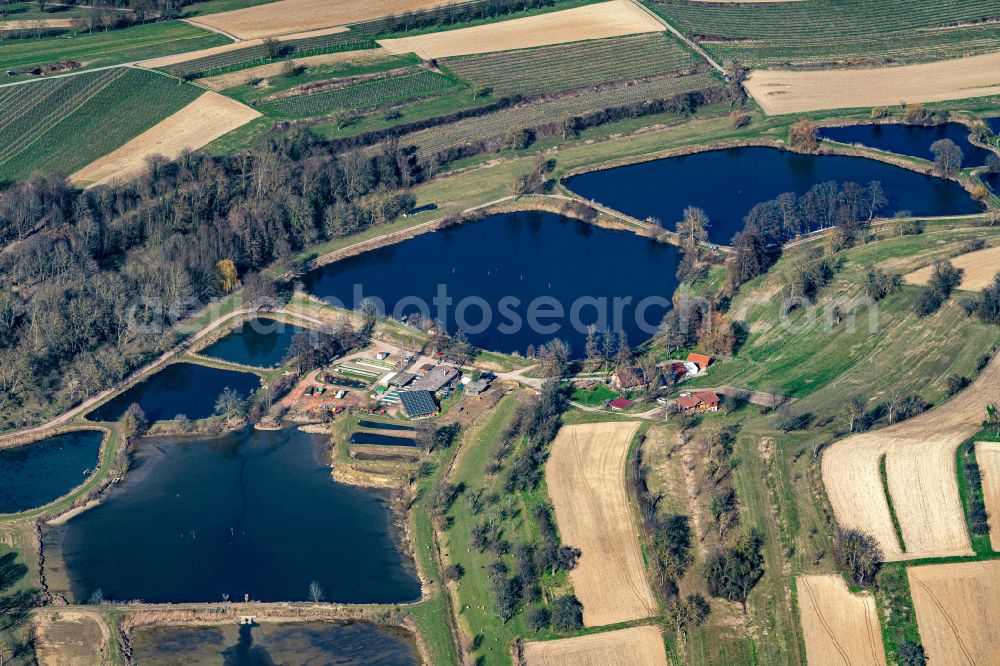 Wallburg from above - Shore areas of the ponds for fish farming on street Im Filmersbach in Wallburg in the state Baden-Wuerttemberg, Germany