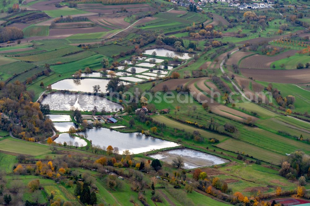 Wallburg from the bird's eye view: Shore areas of the ponds for fish farming on street Im Filmersbach in Wallburg in the state Baden-Wuerttemberg, Germany