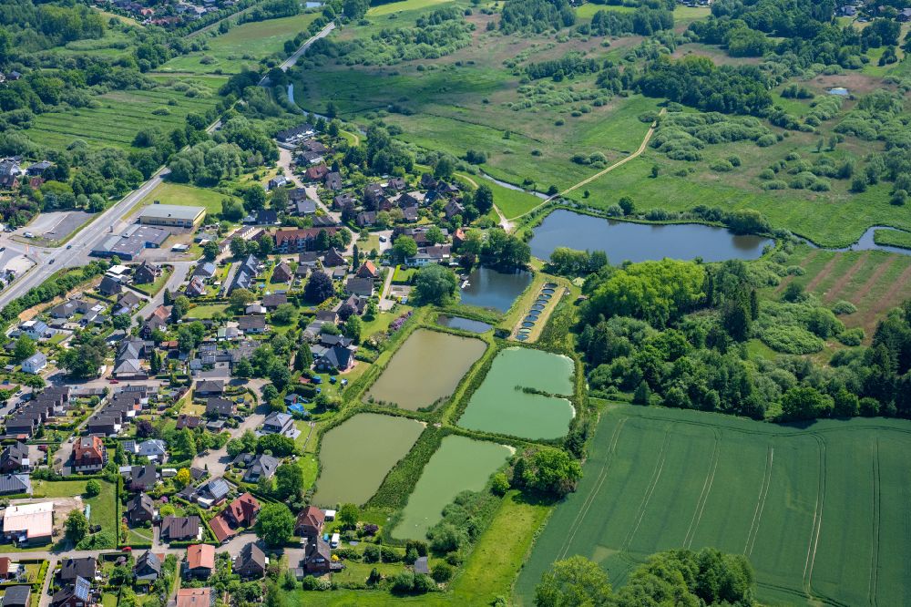 Horneburg from the bird's eye view: Shore areas of the ponds for fish farming Wilkens in Horneburg in the state Lower Saxony, Germany