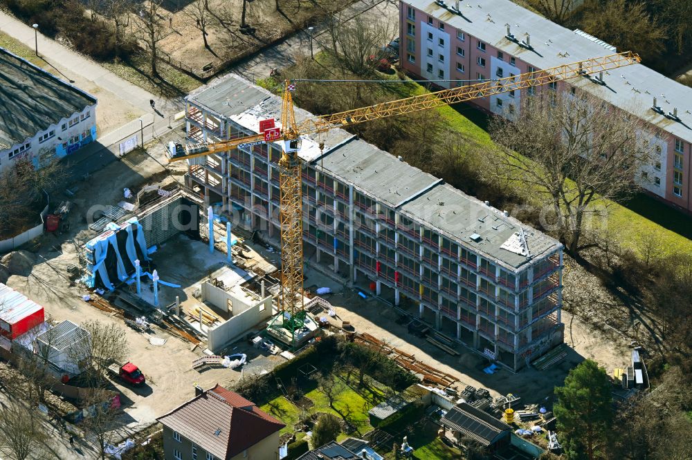 Berlin from the bird's eye view: Construction sites for the conversion, expansion and modernization of the school building ELISABETH-CHRISTINEN-GRUNDSCHULE on street Lindenberger Strasse in the district Niederschoenhausen in Berlin, Germany