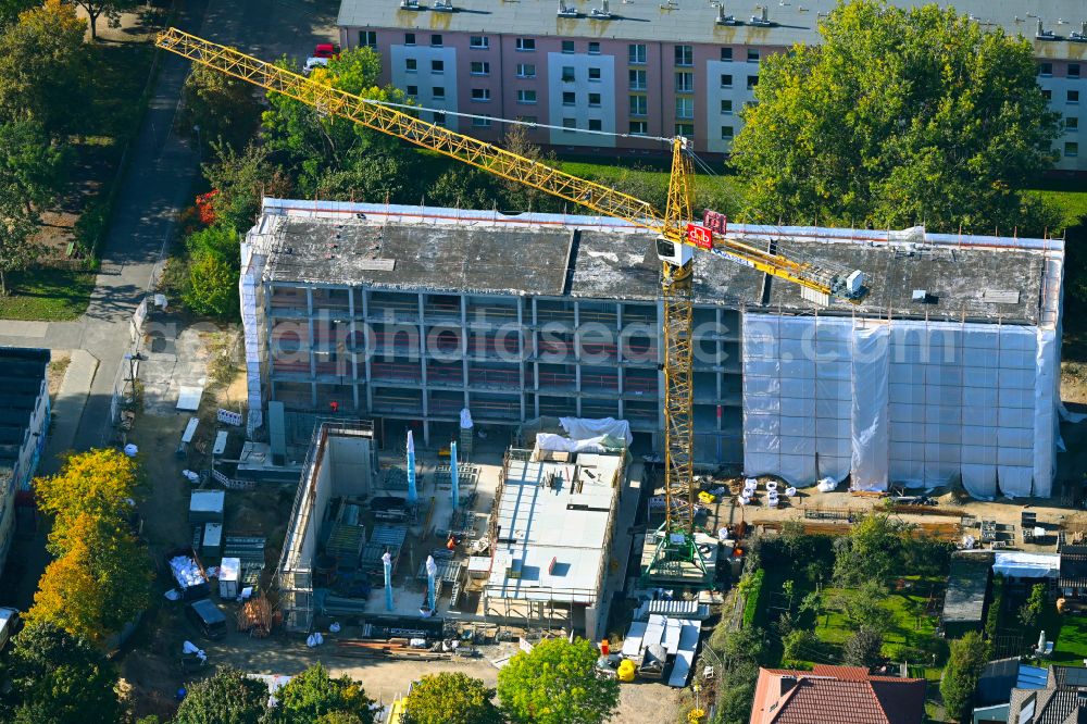 Berlin from above - Construction sites for the conversion, expansion and modernization of the school building ELISABETH-CHRISTINEN-GRUNDSCHULE on street Lindenberger Strasse in the district Niederschoenhausen in Berlin, Germany