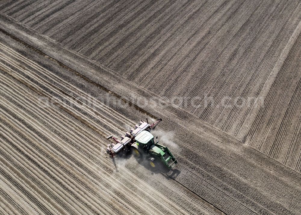 Haseloff from above - Plowing and shifting the earth by a tractor with plow on agricultural fields in Haseloff in the state Brandenburg, Germany