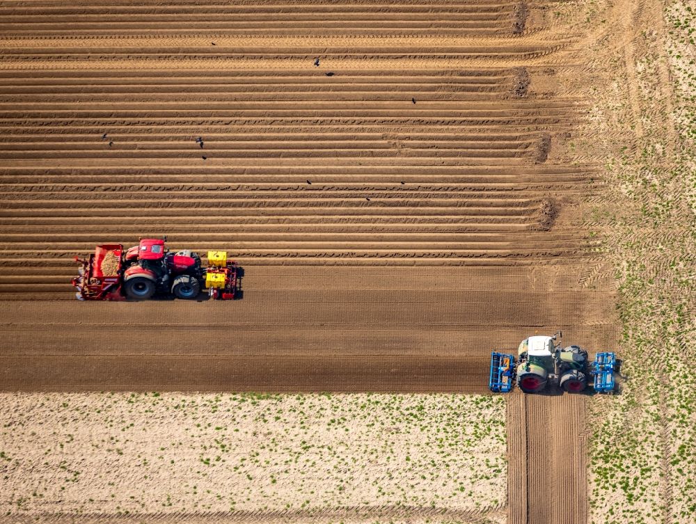 Rees from the bird's eye view: Plowing and shifting the earth by a tractor with plow on agricultural fields in Rees in the state North Rhine-Westphalia, Germany