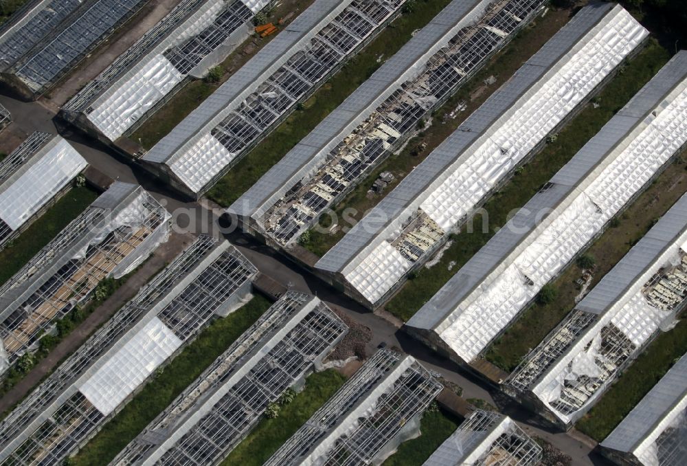 Aerial photograph Erfurt - With scrap and garbage-filled, decaying greenhouse rows along the Mittelhaeuser Strasse in the district Mittelhausen in Erfurt in the state Thuringia, Germany
