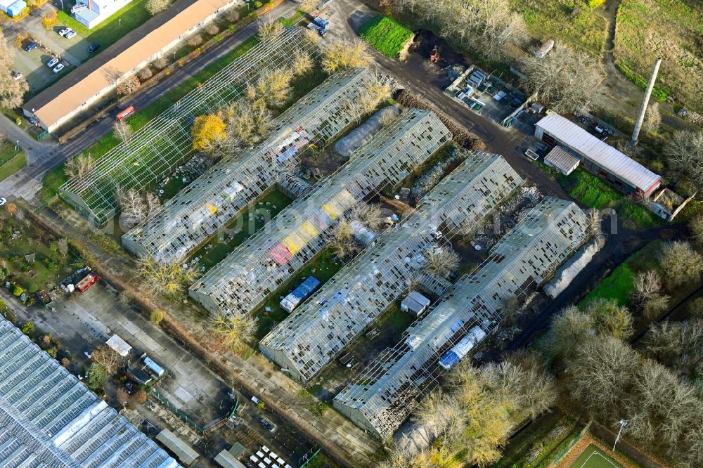 Aerial photograph Berlin - With scrap and garbage-filled, decaying greenhouse rows in the district Wartenberg in Berlin, Germany