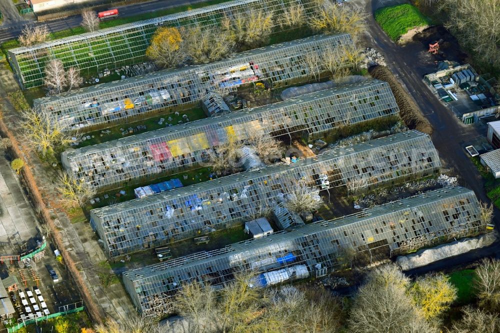 Berlin from above - With scrap and garbage-filled, decaying greenhouse rows in the district Wartenberg in Berlin, Germany