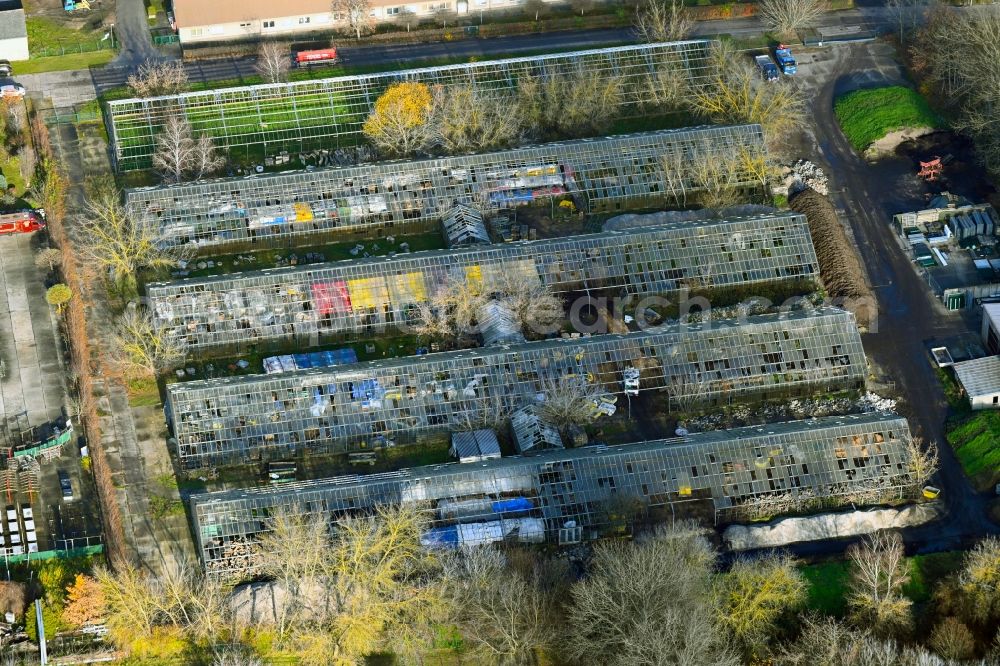 Berlin from the bird's eye view: With scrap and garbage-filled, decaying greenhouse rows in the district Wartenberg in Berlin, Germany