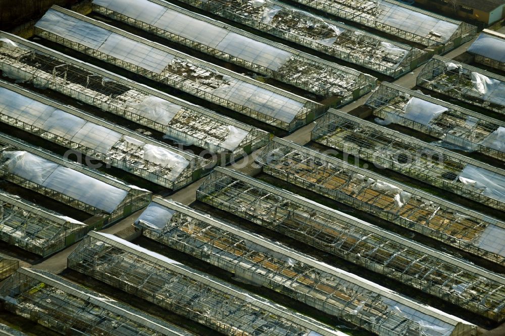 Aerial image Erfurt - Decaying rows of greenhouses in the MIT582 Horticulture Alte Mittelhaeuser Strasse in the district of Mittelhausen in Erfurt in the state Thuringia, Germany