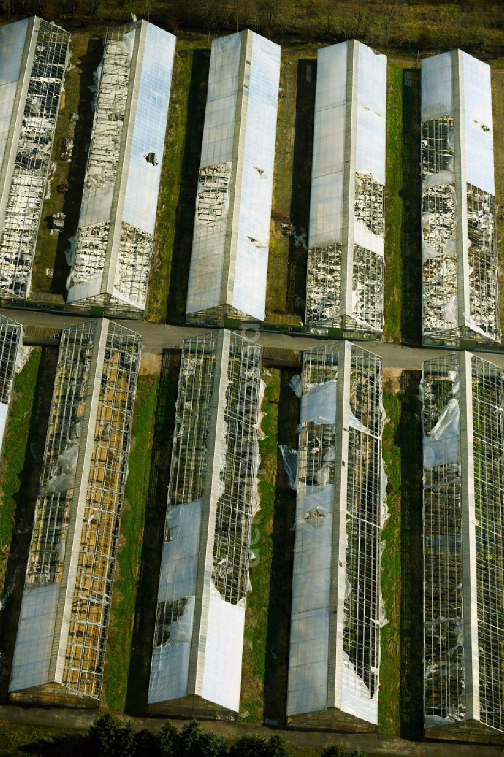 Erfurt from above - Decaying rows of greenhouses in the MIT582 Horticulture Alte Mittelhaeuser Strasse in the district of Mittelhausen in Erfurt in the state Thuringia, Germany