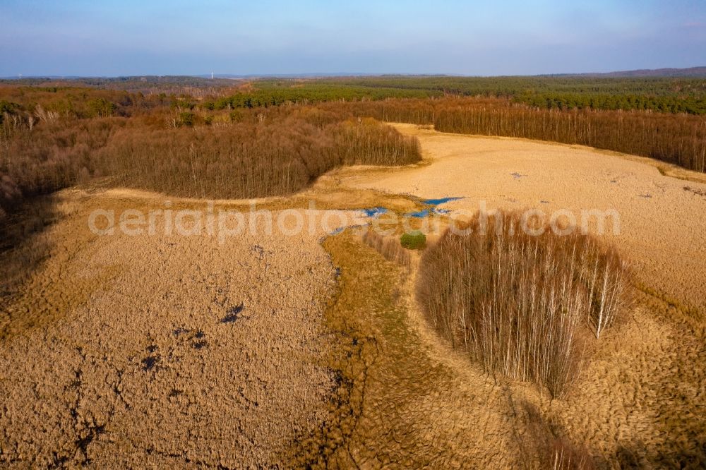 Joachimsthal from the bird's eye view: Forests on the shores of Lake Flacher Bugsinsee in Althuettendorf in the state Brandenburg, Germany