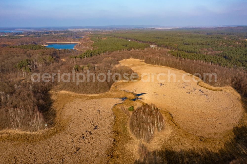 Aerial image Joachimsthal - Forests on the shores of Lake Flacher Bugsinsee in Althuettendorf in the state Brandenburg, Germany