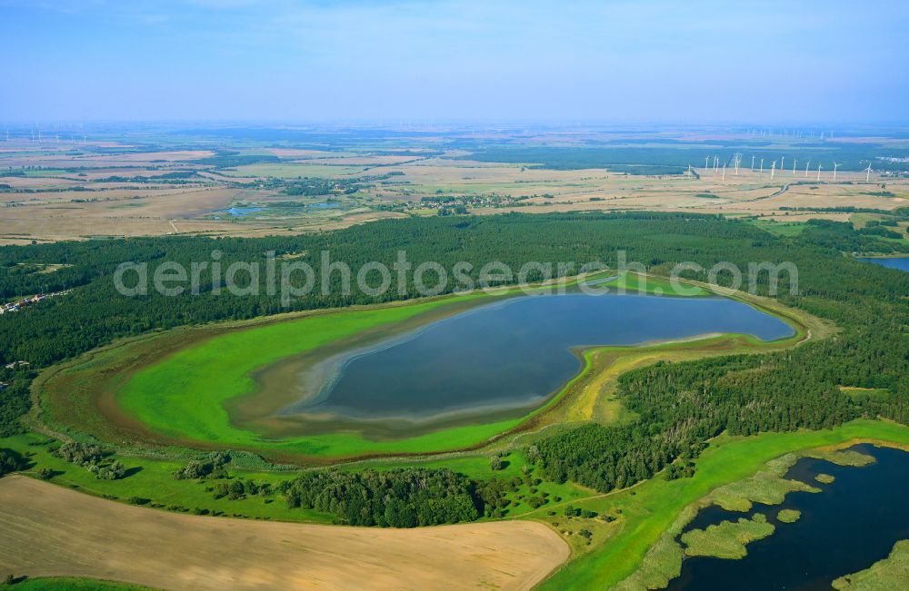 Schwedt/Oder from above - Forests on the shores of Lake Der grosse Felchowsee in Schwedt/Oder in the Uckermark in the state Brandenburg, Germany