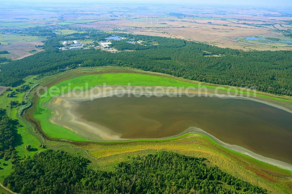 Schwedt/Oder from the bird's eye view: Forests on the shores of Lake Der grosse Felchowsee in Schwedt/Oder in the Uckermark in the state Brandenburg, Germany
