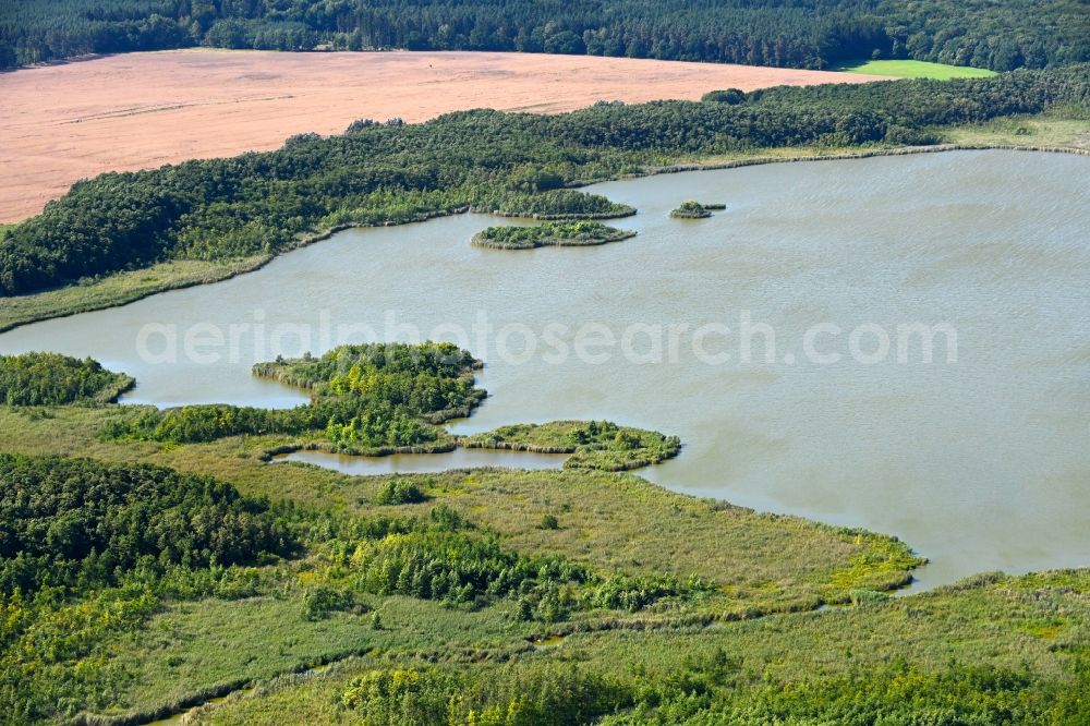 Aerial image Mönchshof - Forests on the shores of Lake Moenchsee in Moenchshof in the state Mecklenburg - Western Pomerania, Germany
