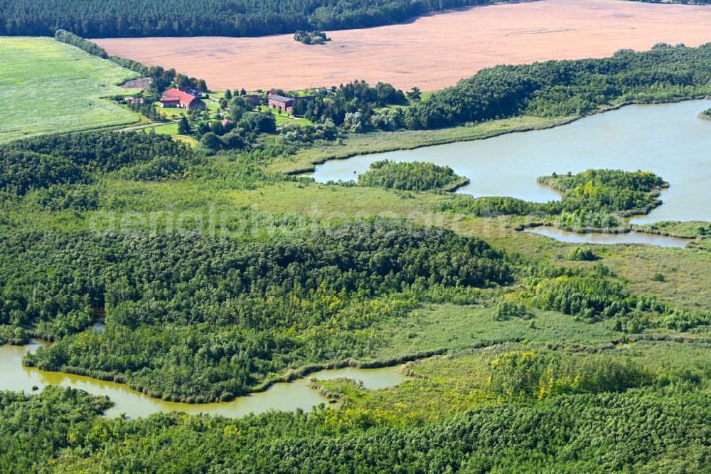 Aerial photograph Mönchshof - Forests on the shores of Lake Moenchsee in Moenchshof in the state Mecklenburg - Western Pomerania, Germany