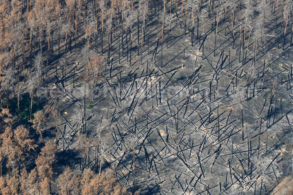 Aerial image Frohnsdorf - Damage by the Great Fire - destroyed forest fire tree population in a wooded area - forest terrain in Frohnsdorf in the state Brandenburg, Germany