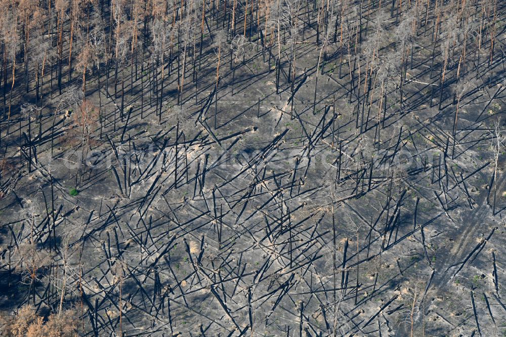 Aerial photograph Frohnsdorf - Damage by the Great Fire - destroyed forest fire tree population in a wooded area - forest terrain in Frohnsdorf in the state Brandenburg, Germany