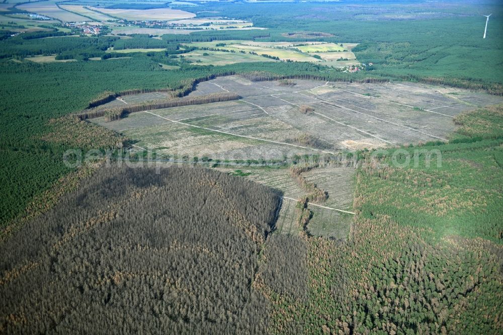 Klausdorf from above - Damage by the Great Fire - destroyed forest fire tree population in a wooded area - forest terrain in Treuenbrietzen in the state Brandenburg, Germany