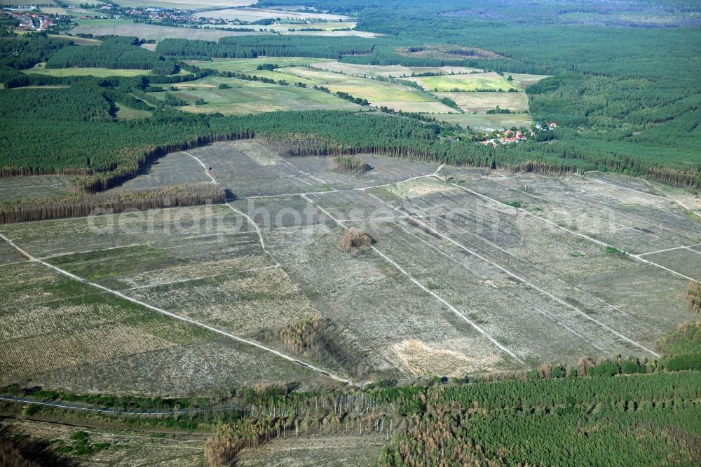 Klausdorf from the bird's eye view: Damage by the Great Fire - destroyed forest fire tree population in a wooded area - forest terrain in Treuenbrietzen in the state Brandenburg, Germany