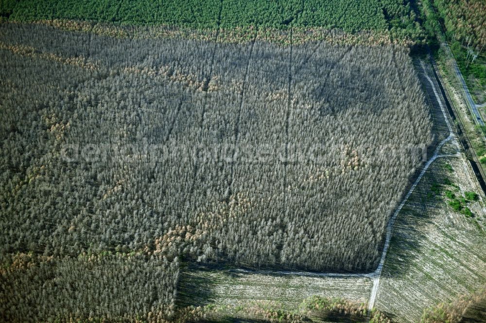 Klausdorf from the bird's eye view: Damage by the Great Fire - destroyed forest fire tree population in a wooded area - forest terrain in Treuenbrietzen in the state Brandenburg, Germany