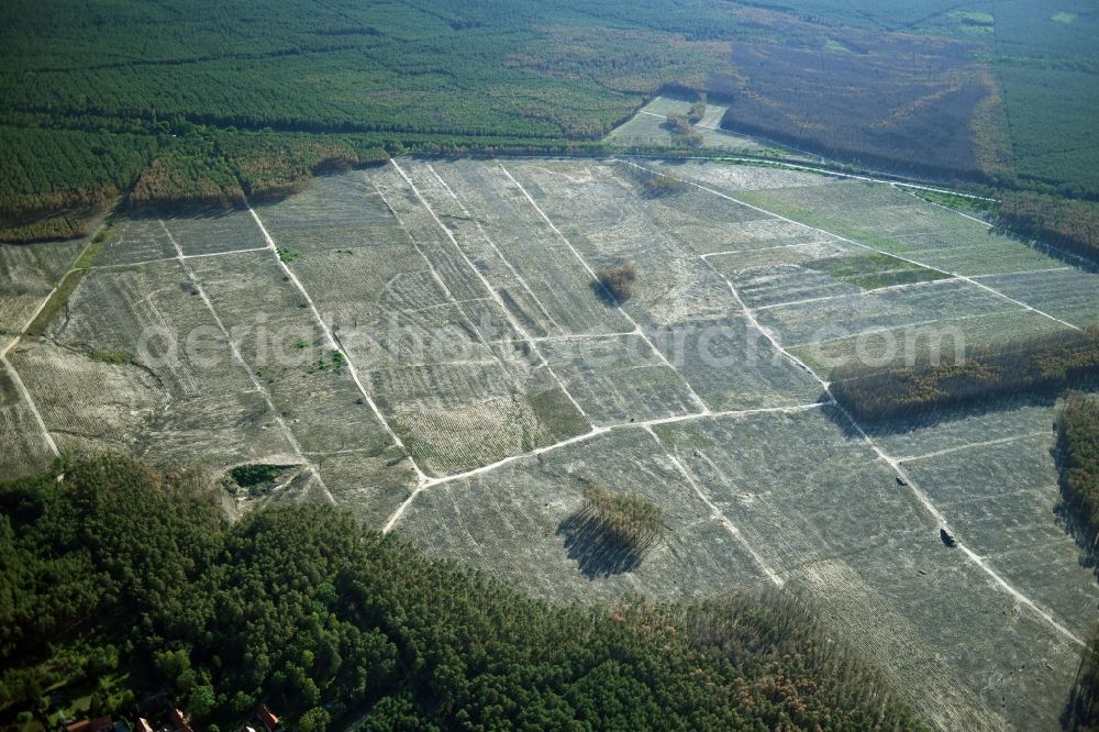 Aerial image Klausdorf - Damage by the Great Fire - destroyed forest fire tree population in a wooded area - forest terrain in Treuenbrietzen in the state Brandenburg, Germany