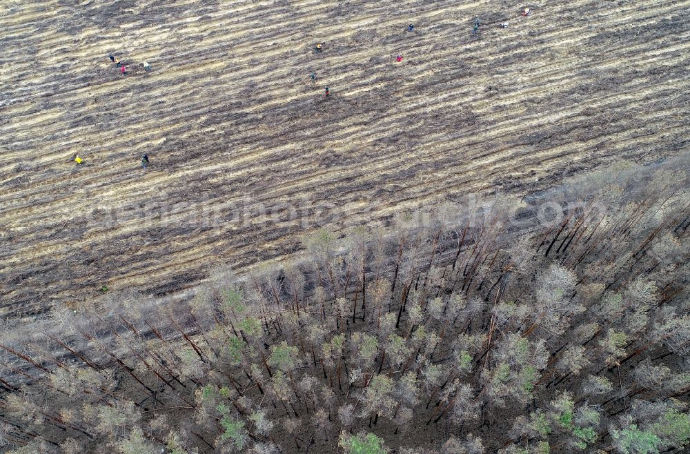 Aerial photograph Klausdorf - Damage by the Great Fire - destroyed forest fire tree population in a wooded area - forest terrain in Treuenbrietzen in the state Brandenburg, Germany