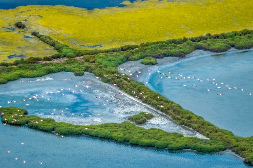 Aerial photograph Ses Salines - Bird formation of Flamingos in flight in Ses Salines in Balearische Insel Mallorca, Spain