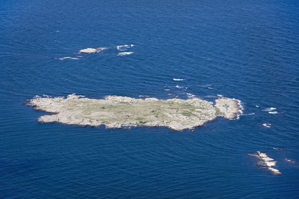 Aerial photograph Christianso - Grasholm bird island of the archipelago of islands peas (Ertholmene) in the Baltic Sea in Denmark